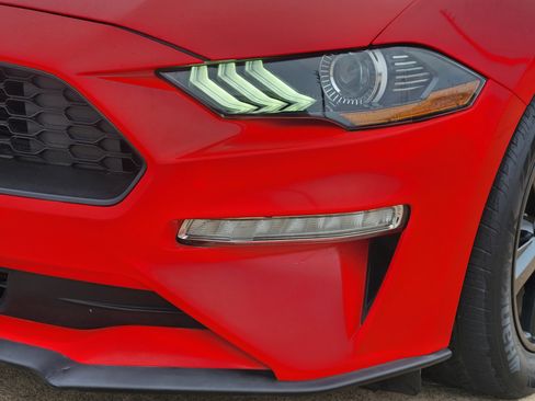 Used 2019 Ford Mustang Coupe RWD image 10