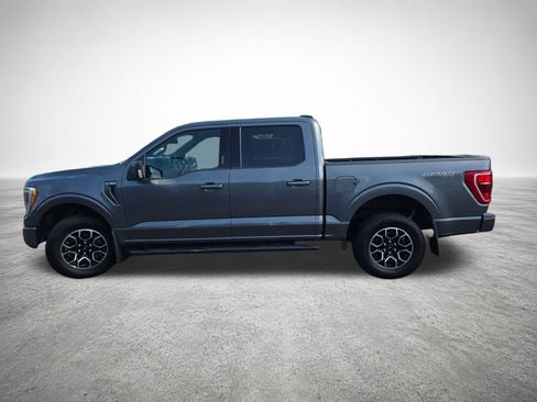 Used 2021 Ford F150 XLT w/ Equipment Group 302A High AWD/4WD image 5