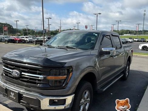Used 2024 Ford F150 XLT w/ Equipment Group 302A MID AWD/4WD image 1