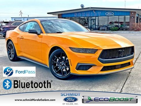 New 2026 Ford Mustang Premium w/ Mustang Nite Pony Package image 1