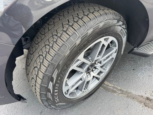 New 2025 Ford Expedition Active image 15