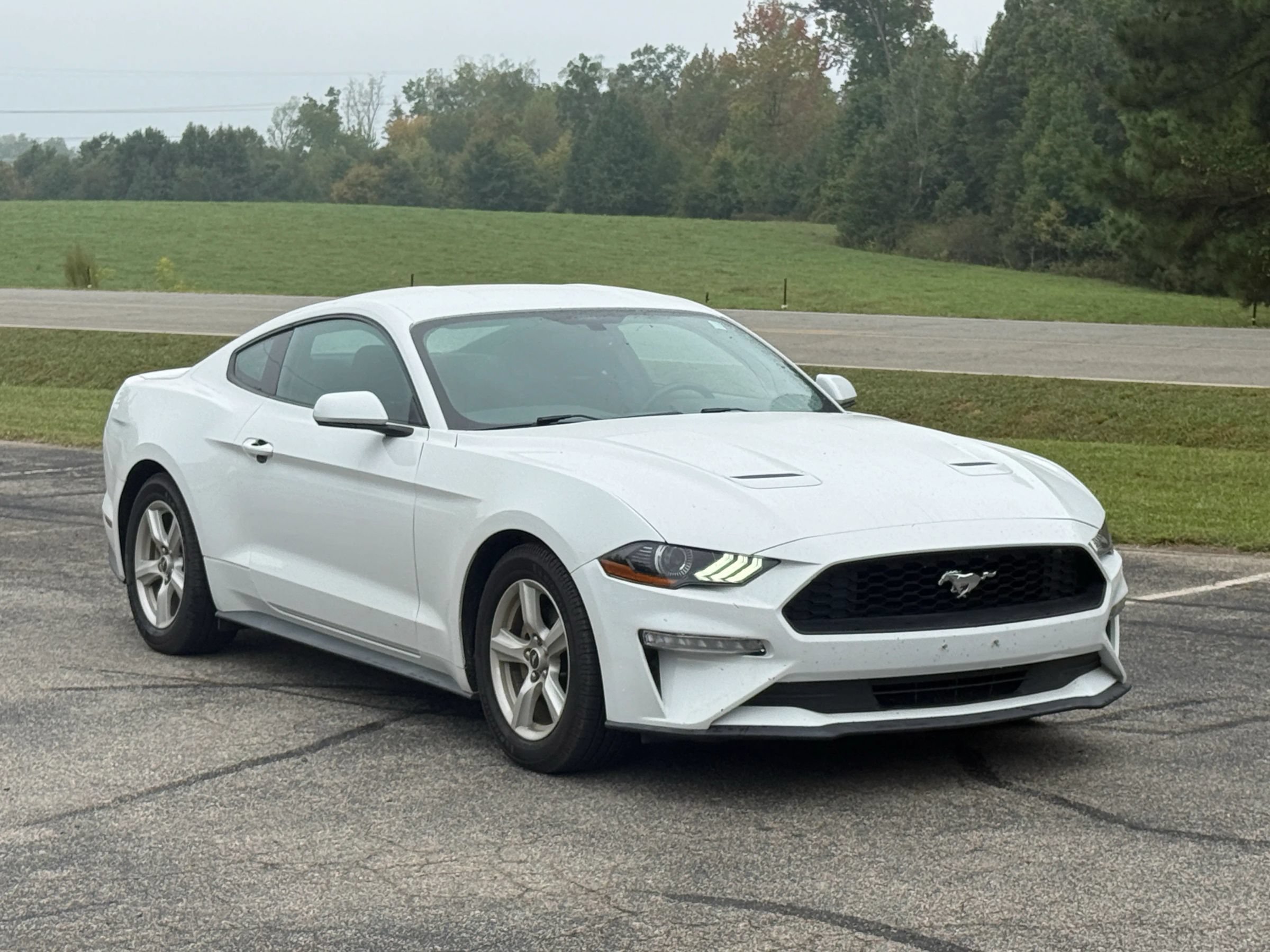 Used 2018 Ford Mustang Coupe RWD image 1