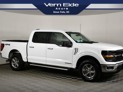 Used 2025 Ford F150 XLT w/ Equipment Group 301A Standard