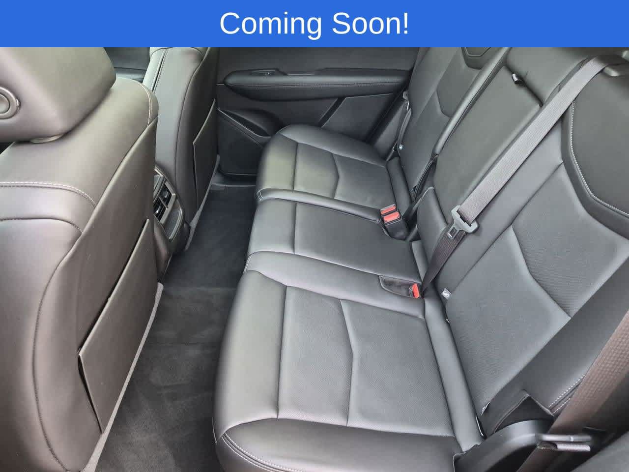 Used 2024 Cadillac XT5 Premium Luxury AWD/4WD image 20