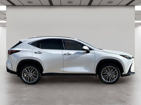New 2025 Lexus NX 350h AWD w/ Premium Package image 6
