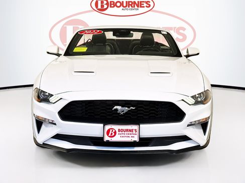 Used 2022 Ford Mustang Premium w/ Equipment Group 201A image 5