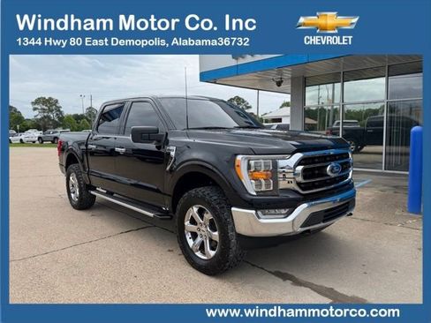 Used 2023 Ford F150 XLT w/ Equipment Group 302A High AWD/4WD image 1