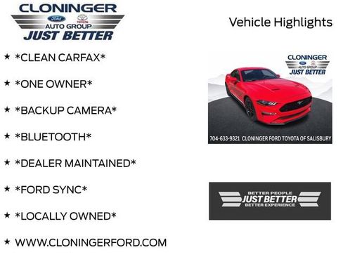 Used 2019 Ford Mustang GT w/ Equipment Group 301A RWD image 3