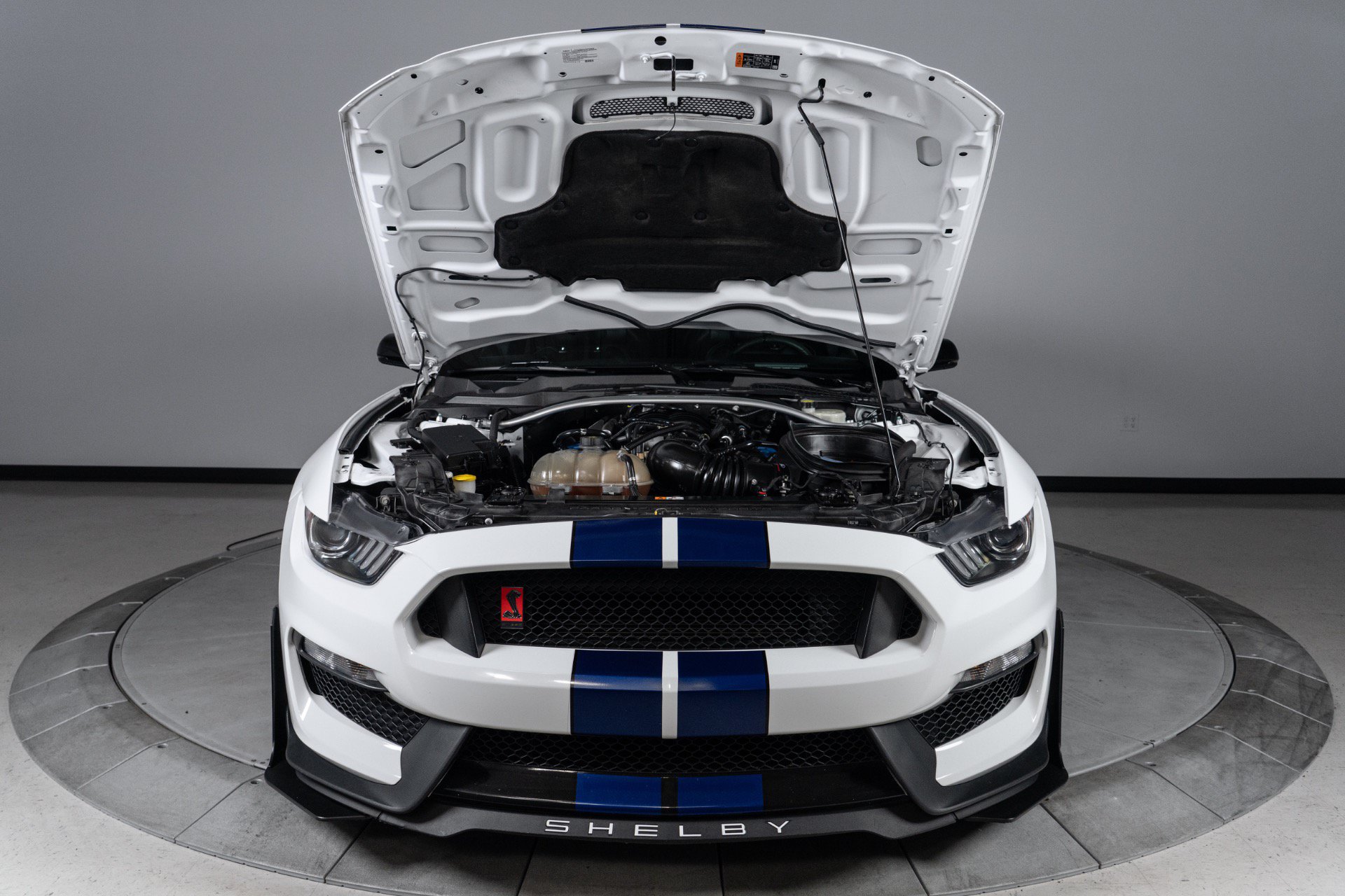Used 2016 Ford Mustang Shelby GT350 w/ Technology Package RWD image 36