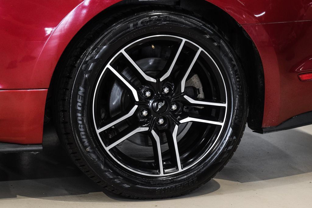 Used 2019 Ford Mustang Coupe RWD image 46
