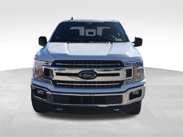 Used 2019 Ford F150 XLT w/ Equipment Group 302A Luxury AWD/4WD image 9