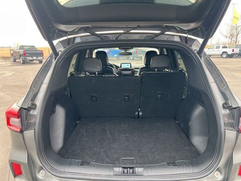 Used 2024 Ford Escape ST-Line image 6