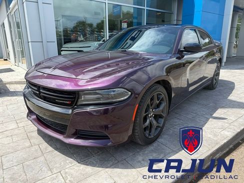 Used 2020 Dodge Charger SXT w/ Blacktop Package RWD image 1