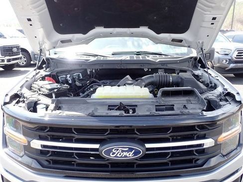 Used 2025 Ford F150 XLT w/ Equipment Group 301A Standard AWD/4WD image 16