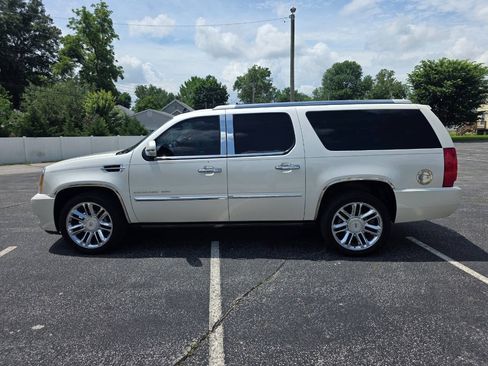 Used 2010 Cadillac Escalade ESV Platinum AWD/4WD image 3