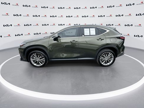 Used 2023 Lexus NX 350h AWD w/ Premium Package image 5