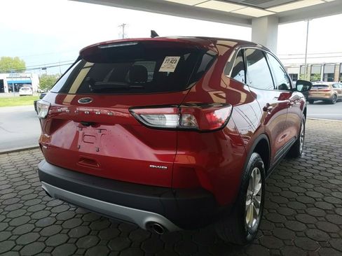 Used 2022 Ford Escape SE w/ Convenience Package AWD/4WD image 6