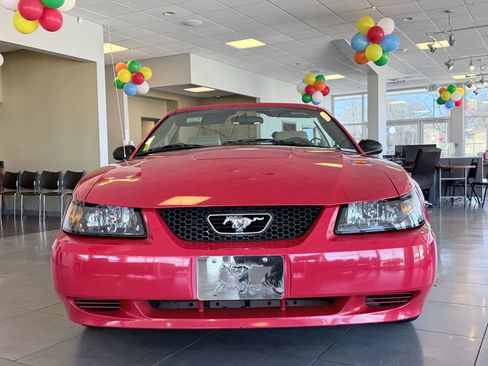 Used 2004 Ford Mustang Premium image 3