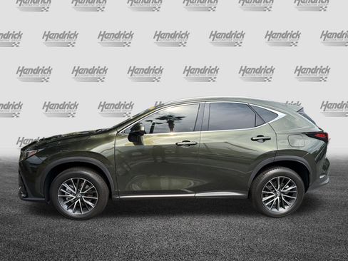 Certified 2025 Lexus NX 350 AWD w/ Cold Area Package image 6