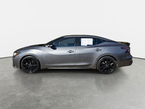 Used 2019 Nissan Maxima SR w/ Premium Package image 8