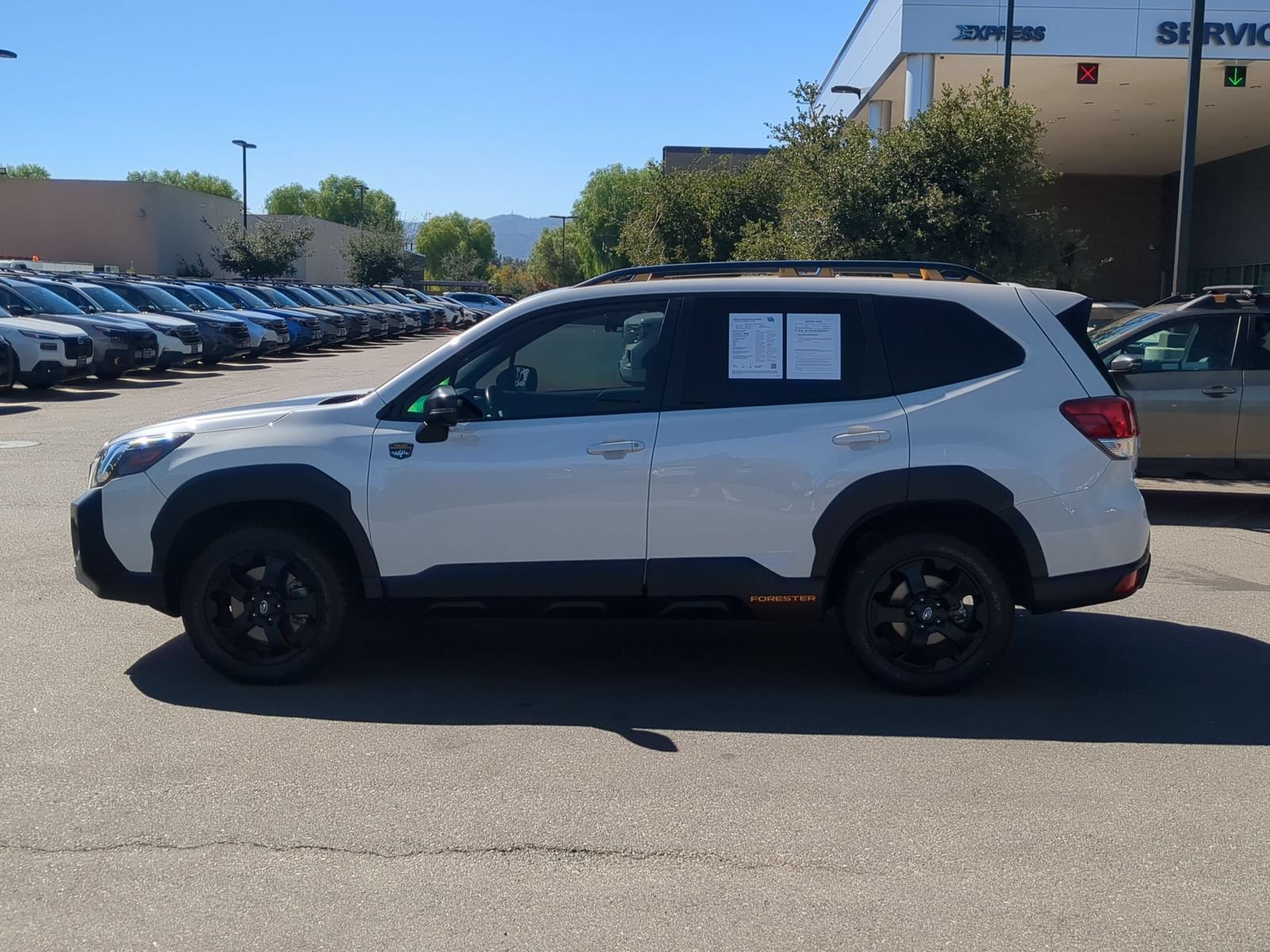 Certified 2024 Subaru Forester Wilderness AWD/4WD image 2
