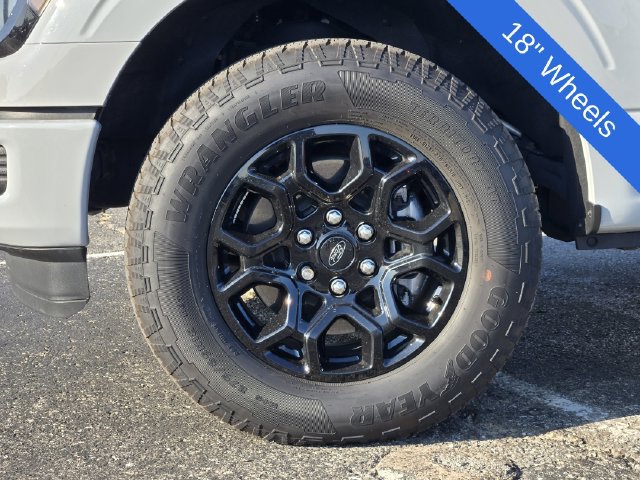 Used 2024 Ford F150 XLT w/ Equipment Group 302A MID AWD/4WD image 10