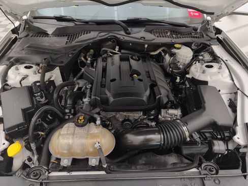 Certified 2019 Ford Mustang Coupe w/ Black Accent Package image 44