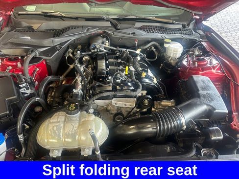 Certified 2023 Ford Mustang Coupe w/ Equipment Group 101A image 19