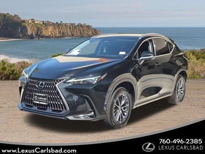 Used 2025 Lexus NX 350h AWD w/ Cold Area Package