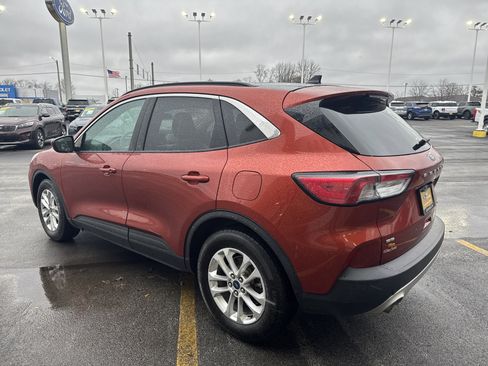 Used 2020 Ford Escape SE image 7