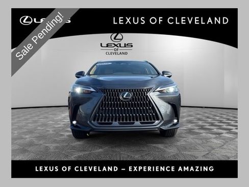 Used 2025 Lexus NX 350 AWD w/ Cold Area Package image 1