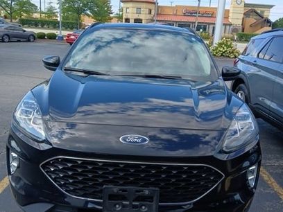 Used 2020 Ford Escape Titanium w/ Titanium Premium Package 2.0