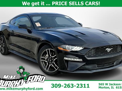 Used 2020 Ford Mustang EcoBoost w/ Equipment Group 101A image 1