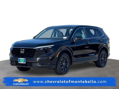 Used 2026 Honda CR-V EX-L image 1