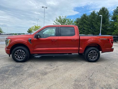 Used 2023 Ford F150 XLT w/ Equipment Group 302A High AWD/4WD image 6