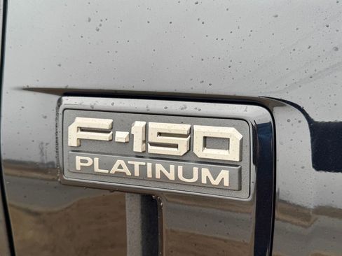 New 2025 Ford F150 Platinum w/ Equipment Group 702A High image 15