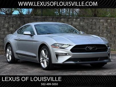 Used 2019 Ford Mustang Premium w/ Equipment Group 201A