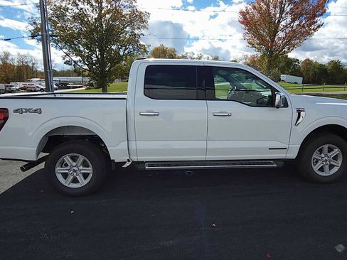 New 2025 Ford F150 XLT w/ Equipment Group 302A MID image 9