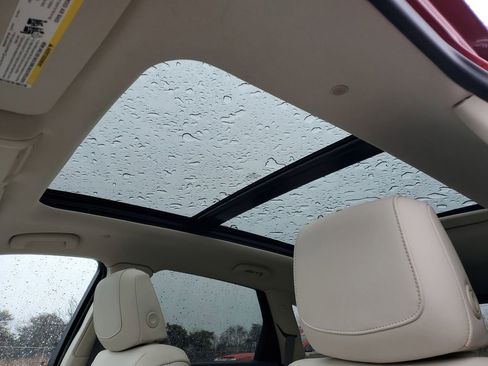 Used 2024 Cadillac XT5 Premium Luxury image 6