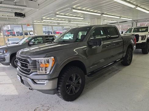 Used 2023 Ford F150 XLT w/ Equipment Group 302A High image 2