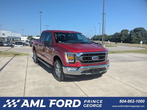 Used 2022 Ford F150 XLT w/ Equipment Group 302A High AWD/4WD image 1