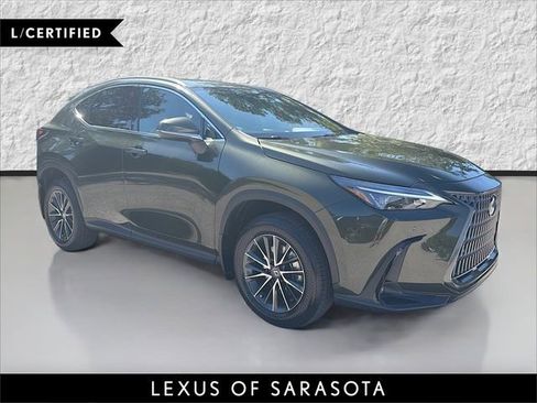 Used 2024 Lexus NX 350h AWD image 1