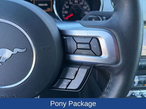 Used 2017 Ford Mustang Premium w/ Equipment Group 201A image 21