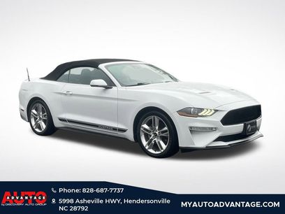Used 2019 Ford Mustang Premium w/ Equipment Group 201A