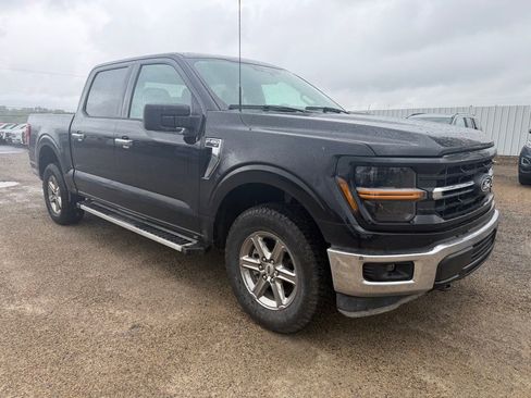 Used 2025 Ford F150 XLT w/ Equipment Group 301A Standard AWD/4WD image 7