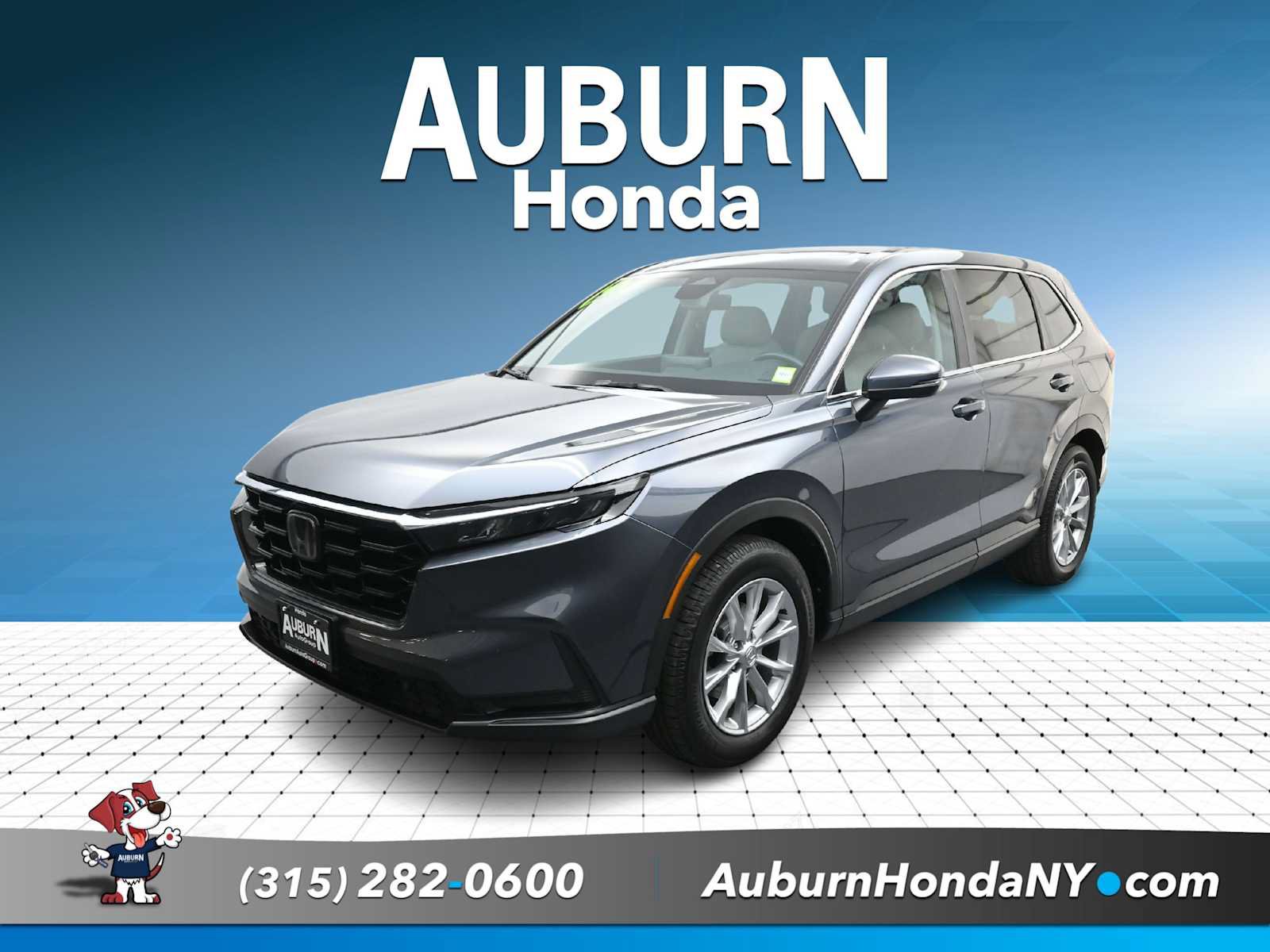 Used 2025 Honda CR-V EX-L image 1