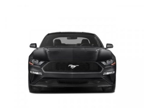 Used 2019 Ford Mustang Coupe w/ Equipment Group 101A image 4
