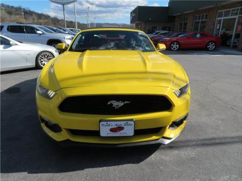 Used 2015 Ford Mustang Premium image 15