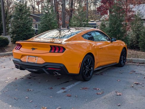 New 2026 Ford Mustang Coupe w/ Mustang Nite Pony Package image 3