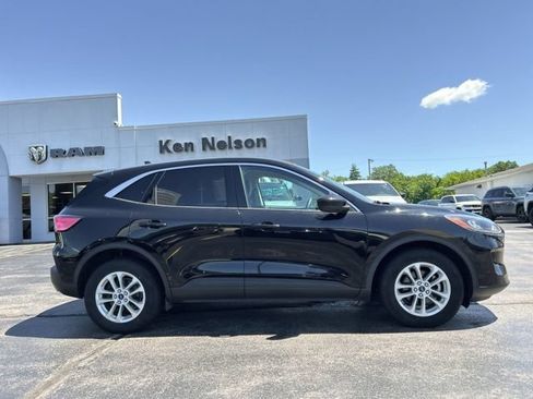 Used 2020 Ford Escape SE AWD/4WD image 13